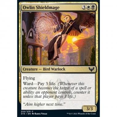 Owlin Shieldmage - Scudomante Gufide - [STX] [NM]