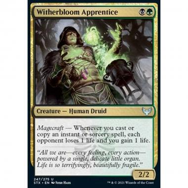 Witherbloom Apprentice - Apprendista di Germoglioscuro - [STX] [NM]