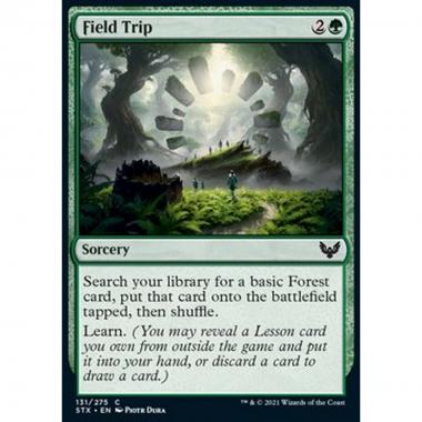 Field Trip - In Gita - [STX] [NM]