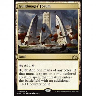 Guildmages' Forum - Foro dei Maghi delle Gilde - [GRN] [NM]
