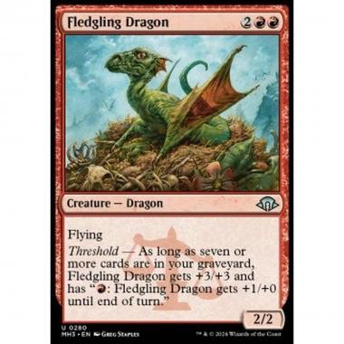 Fledgling Dragon - Fledgling Dragon - [MH3] [NM] [Foil]