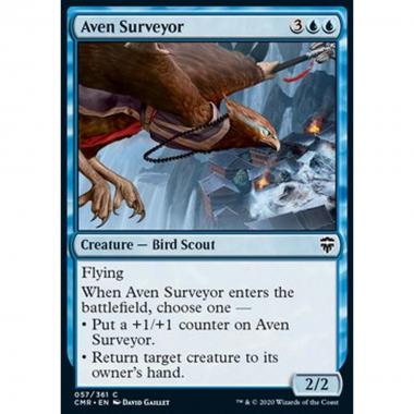 Aven Surveyor - Aven Surveyor - [CMR] [NM]
