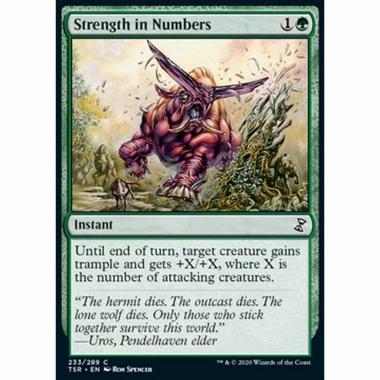 Strength in Numbers - Strength in Numbers - [TSR] [NM]
