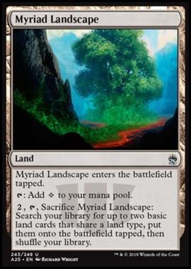 Myriad Landscape - Myriad Landscape - [A25] [NM]