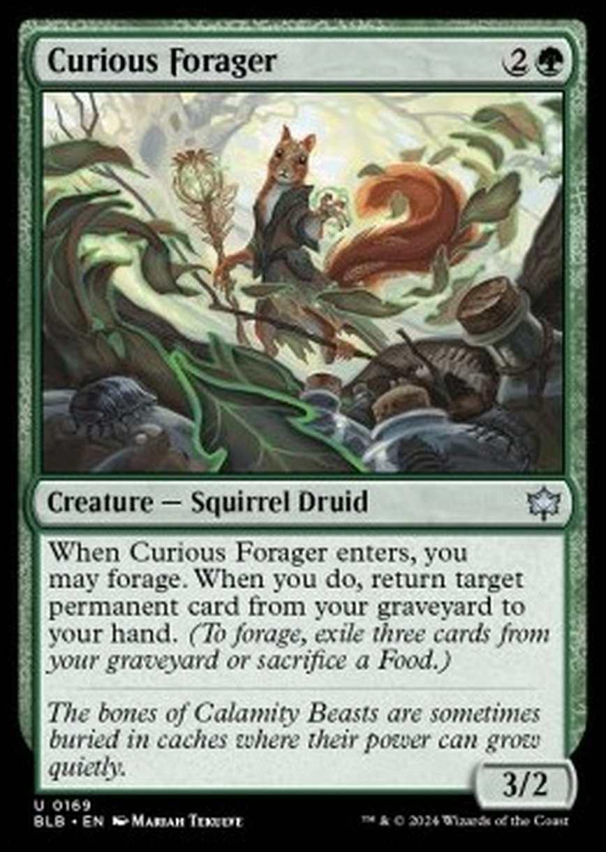 Curious Forager - Curious Forager - [BLB] [NM] [Foil]
