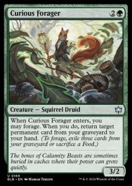 Curious Forager - Curious Forager - [BLB] [NM] [Foil]