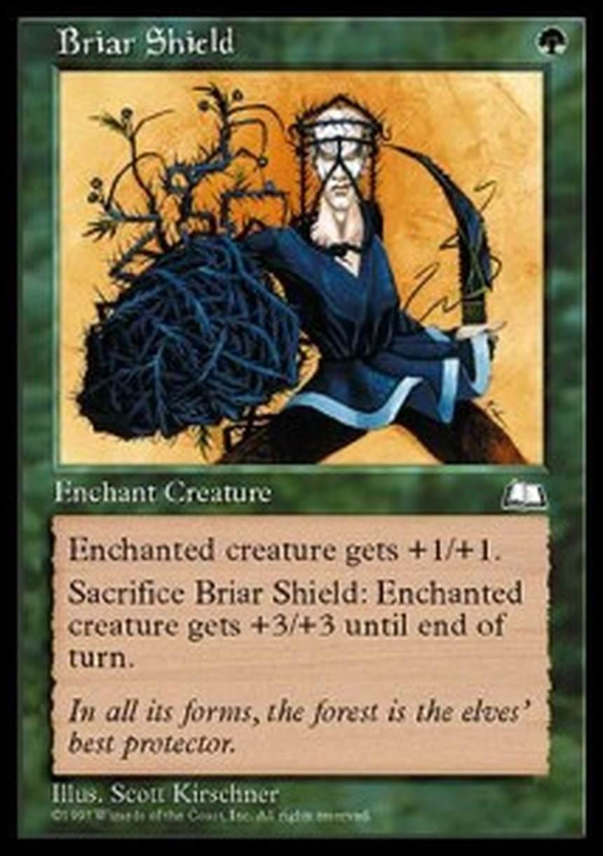 Briar Shield - Briar Shield - [WTH] [EX]