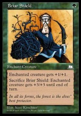 Briar Shield - Briar Shield - [WTH] [EX]