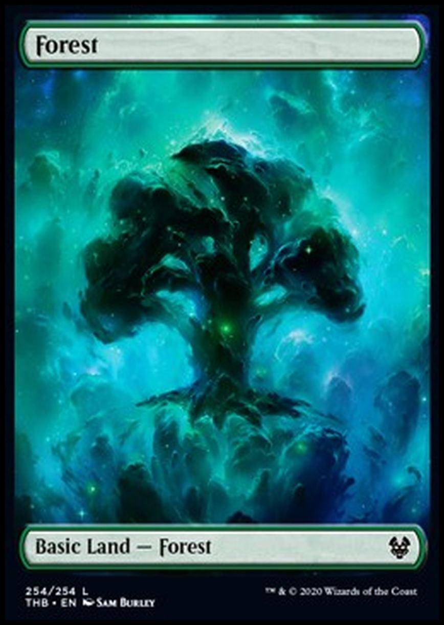 Forest - Foresta - [THB] [NM]