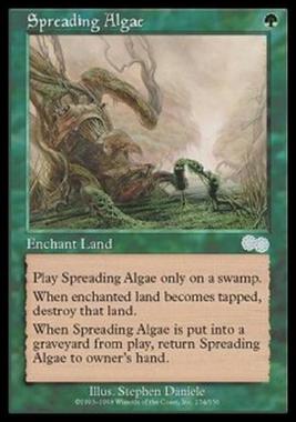 Spreading Algae - Spreading Algae - [USG] [EX]
