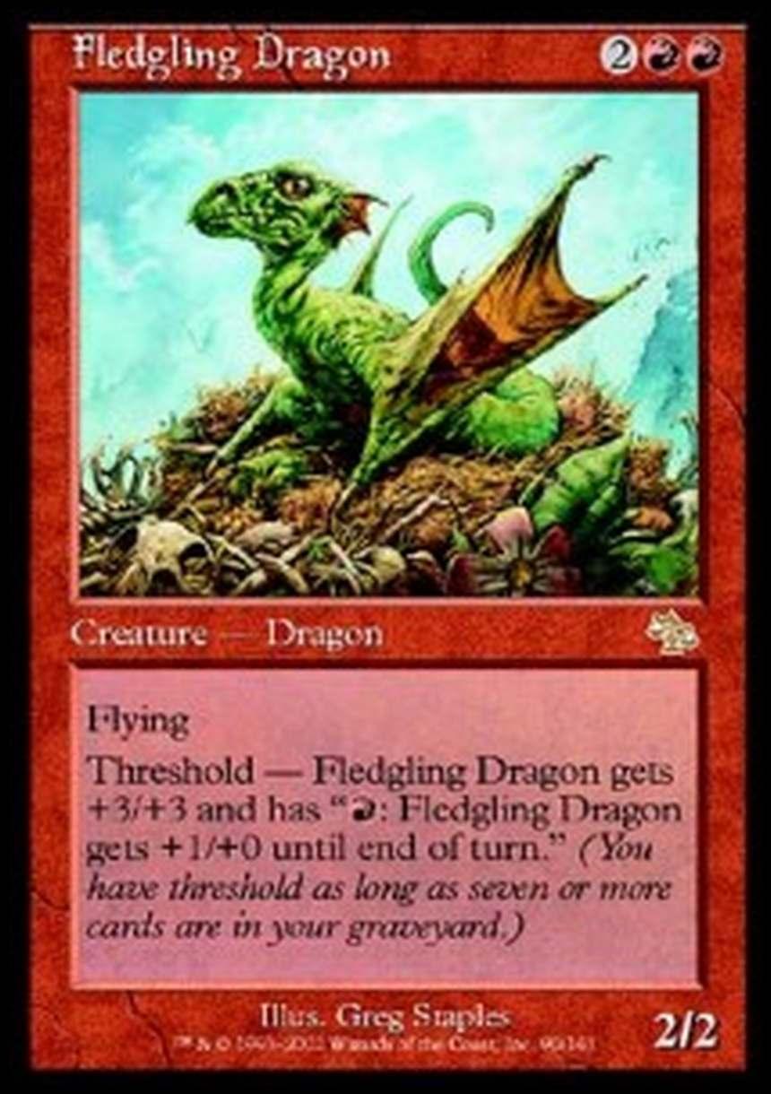 Fledgling Dragon - Drago Novello - [JUD] [GD]