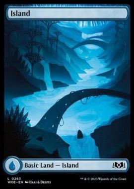 Island (V.1) - Island (V.1) - [WOE] [NM] [Foil]