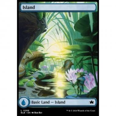 Island (V.1) - Island (V.1) - [BLB] [NM] [Foil]