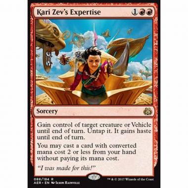 Kari Zev's Expertise - Kari Zev's Expertise - [AER] [EX]