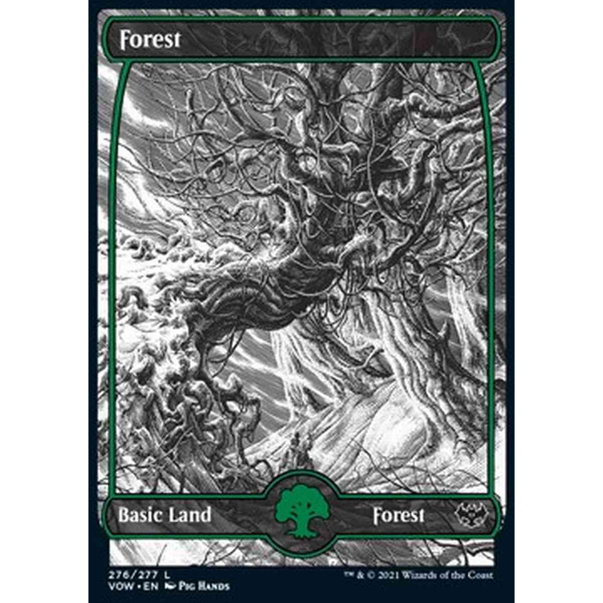 Forest (V.1) - Foresta (V.1) - [VOW] [NM] [Foil]