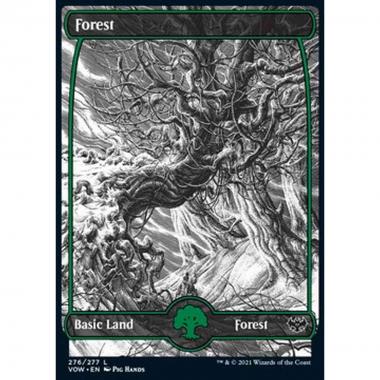 Forest (V.1) - Foresta (V.1) - [VOW] [NM] [Foil]