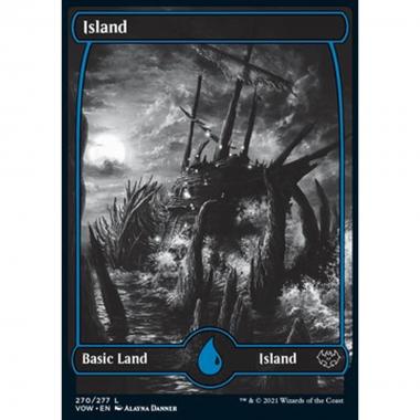 Island (V.1) - Isola (V.1) - [VOW] [NM] [Foil]