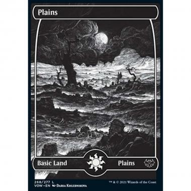 Plains (V.1) - Pianura (V.1) - [VOW] [NM] [Foil]