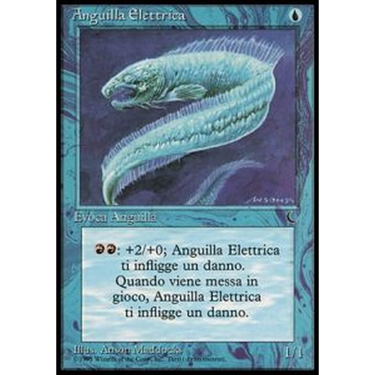 Electric Eel - Anguilla Elettrica - [DKIT] [EX]
