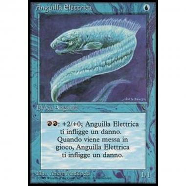 Electric Eel - Anguilla Elettrica - [DKIT] [EX]