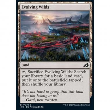 Evolving Wilds - Terre Selvagge in Evoluzione - [IKO] [NM]