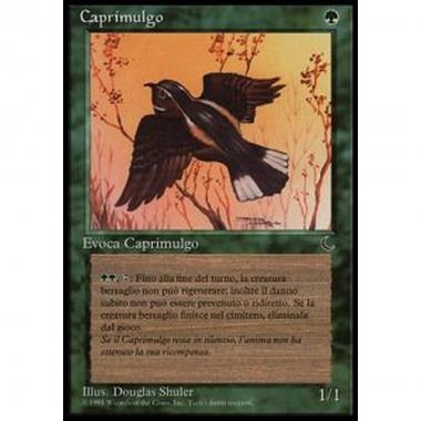 Whippoorwill - Caprimulgo - [DKIT] [GD]
