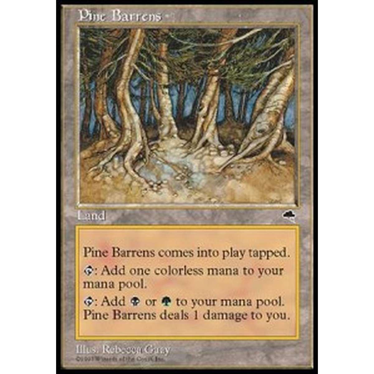 Pine Barrens - Pine Barrens - [TP] [EX]