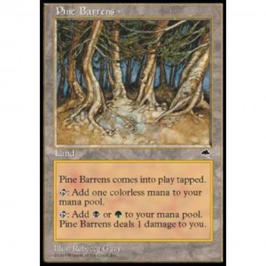 Pine Barrens - Hain der verkrppelten Kiefern - [TP] [EX]