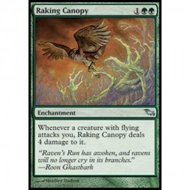 Raking Canopy - Raking Canopy - [SHM] [EX]