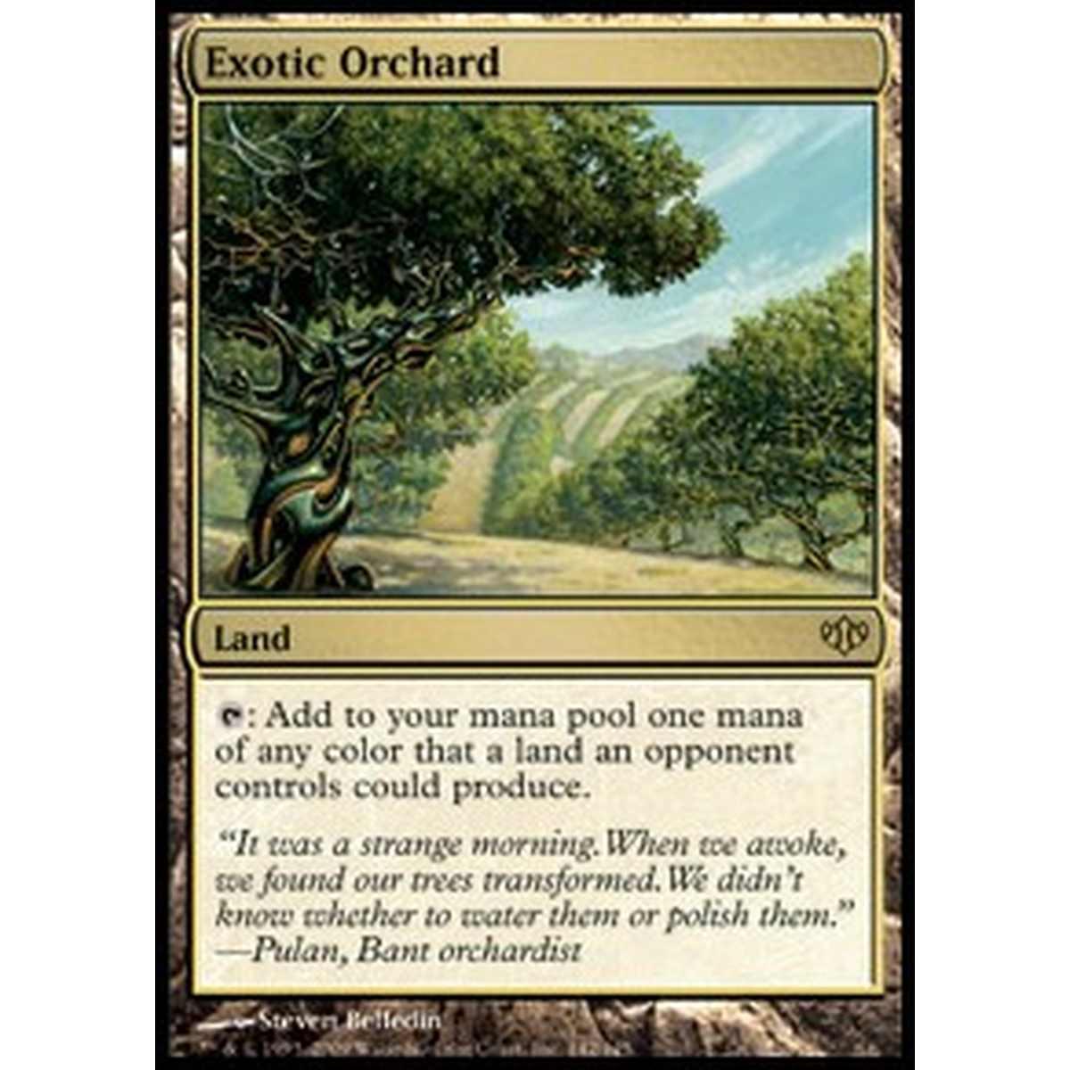 Exotic Orchard - Pomar Extico - [CONF] [EX]