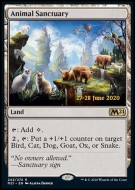 Animal Sanctuary (V.2) - Santuario degli Animali (V.2) - [PM21] [NM] [Foil]