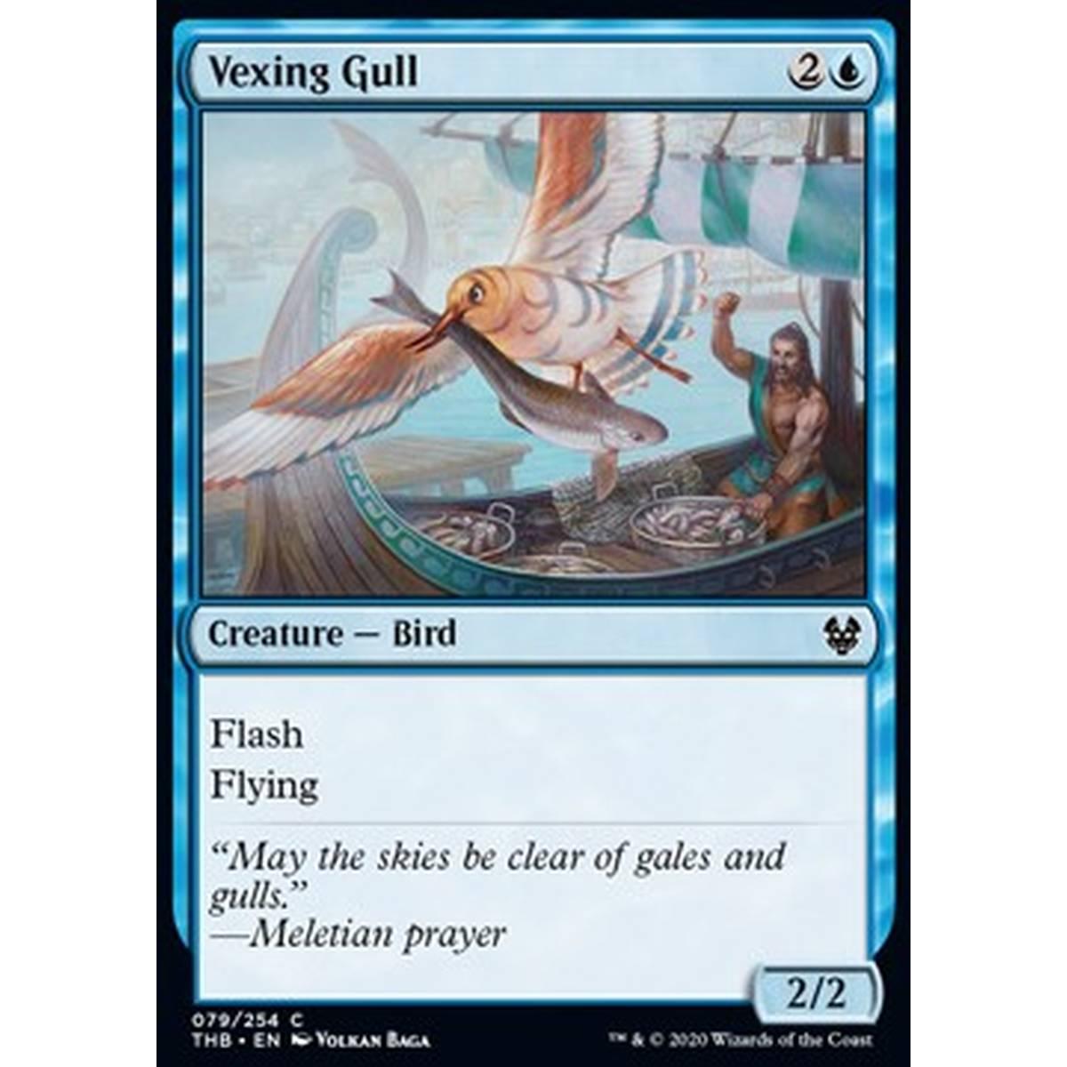 Vexing Gull - Gabbiano Fastidioso - [THB] [NM]