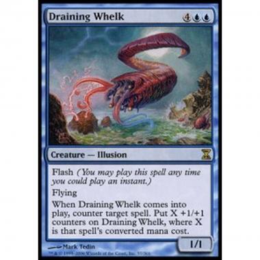 Draining Whelk - Buccina Risucchiante - [TSP] [EX]
