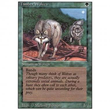 Timber Wolves - Timber Wolves - [3ED] [PL]