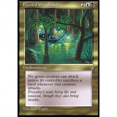 Flooded Woodlands - Flooded Woodlands - [ICE] [EX]