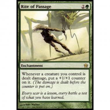 Rite of Passage - Rito di Transizione - [5DN] [GD]