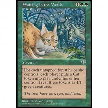 Waiting in the Weeds - Agguato nel Sottobosco - [MIR] [EX]