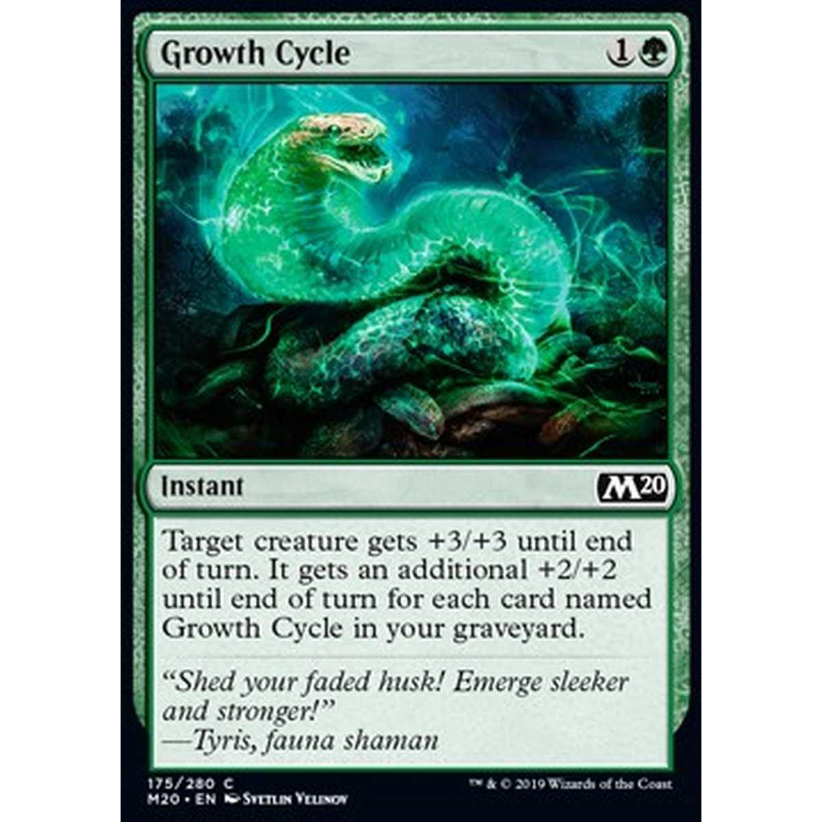 Growth Cycle - Ciclo di Crescita - [M20] [NM]