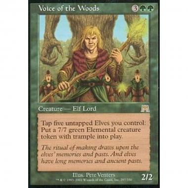 Voice of the Woods - Voice of the Woods - [ONS] [EX]
