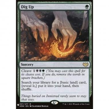Dig Up - Dig Up - [ZNL] [NM]