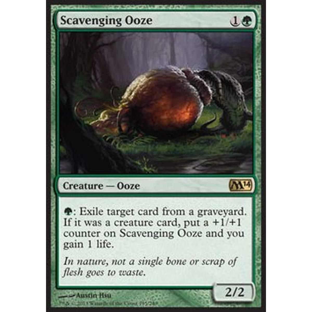 Scavenging Ooze - Scavenging Ooze - [M14] [EX]