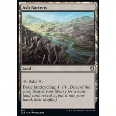 Ash Barrens - Ash Barrens - [XCLB] [NM]