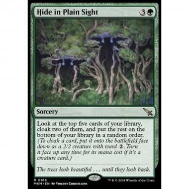 Hide in Plain Sight - Hide in Plain Sight - [MKM] [NM]