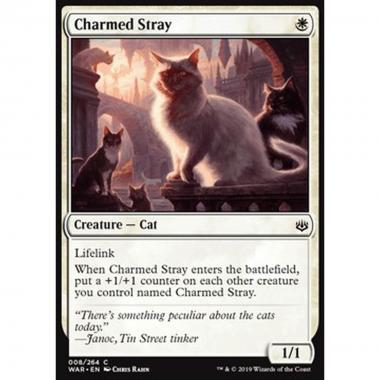 Charmed Stray - Randagio Incantato - [WAR] [NM]