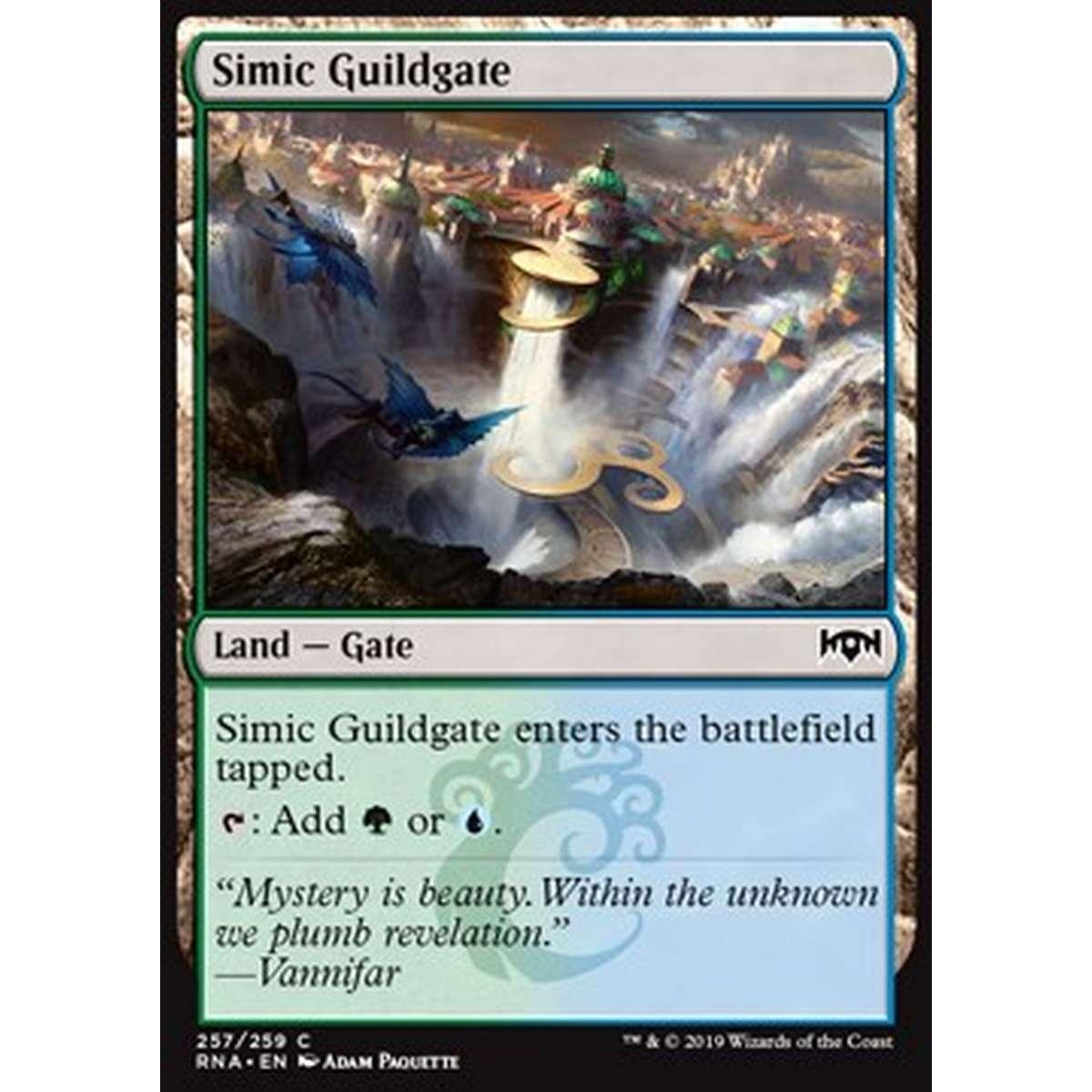 Simic Guildgate (V.1) - Cancello della Gilda Simic (V.1) - [RNA] [NM]