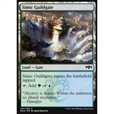 Simic Guildgate (V.1) - Cancello della Gilda Simic (V.1) - [RNA] [NM]