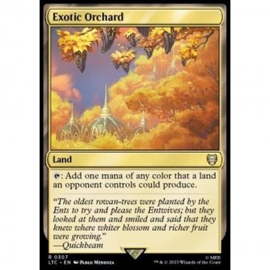 Exotic Orchard - Exotic Orchard - [LTC] [NM]