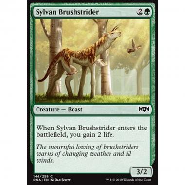 Sylvan Brushstrider - Errante Boscoso Silvano - [RNA] [NM]