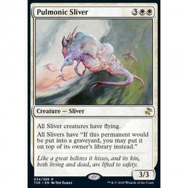 Pulmonic Sliver - Pulmonic Sliver - [TSR] [NM]