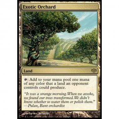 Exotic Orchard - ­ - [CONF] [EX]